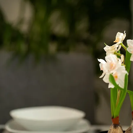 Апартаменты The Korner, Adeje Renovated Flat