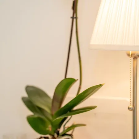 The Korner, Adeje Renovated Flat *